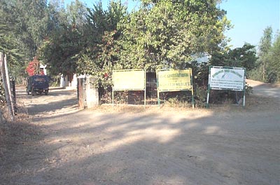 File:Bhindawas Bird Sanctuary.jpg